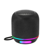 Mini Wireless Speaker WS-311