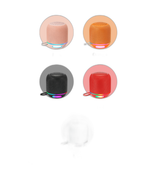 Mini Wireless Speaker WS-311