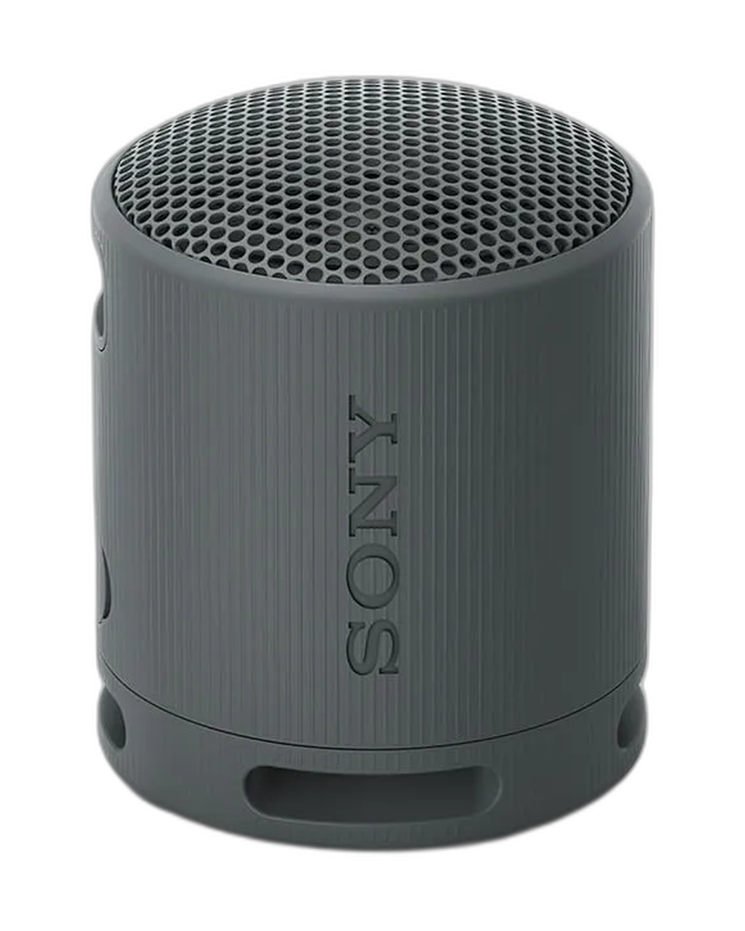 Sony Parlante Inalámbrico Portátil Srs-xb100 Color Negro